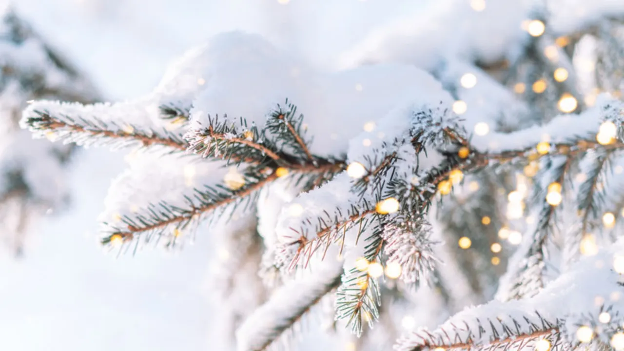 YILBAŞI HANGİ GÜNE DENK GELİYOR?