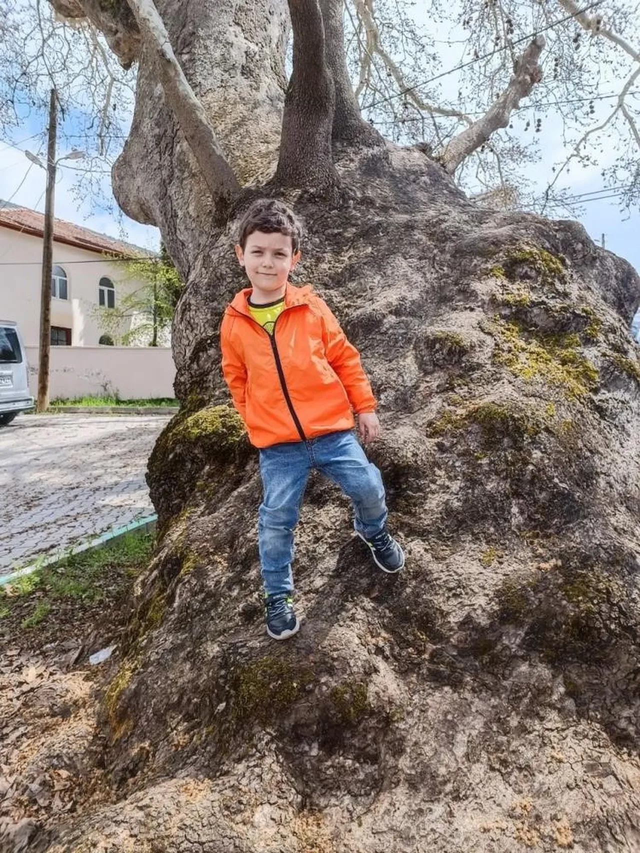 Diş tedavisinin ardından ölmüştü! Acılı aile karara isyan etti: Kedi öldüren bile 3 yıl alıyor