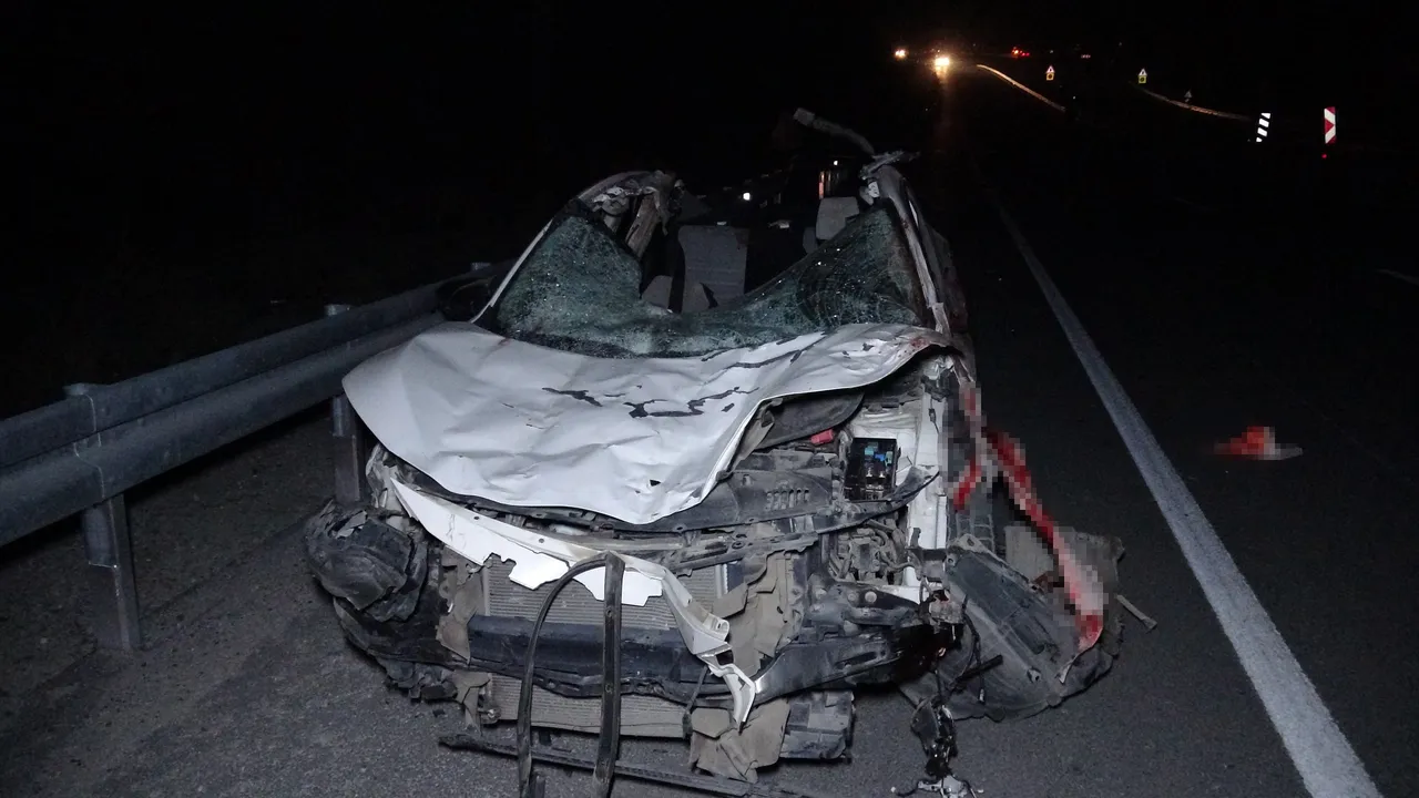 Malatya’da yarış atlarının kaçışına ilişkin soruşturma