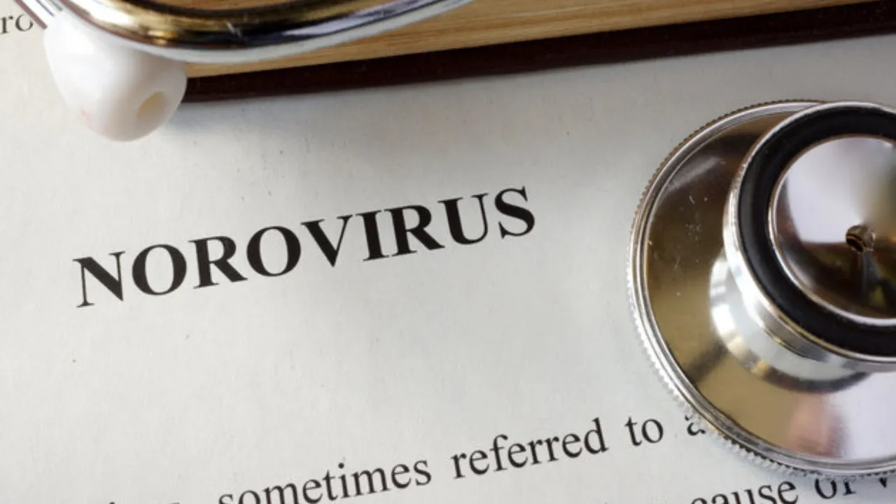 Mide gribi vakaları tavan yaptı: Norovirüs bu kış neden daha tehlikeli? (Norovirüs nedir, belirtileri nelerdir?)