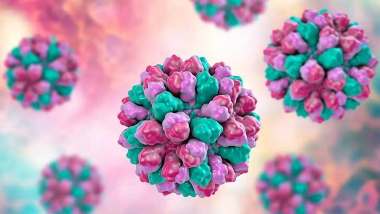 Mide gribi vakaları tavan yaptı: Norovirüs bu kış neden daha tehlikeli? (Norovirüs nedir, belirtileri nelerdir?)