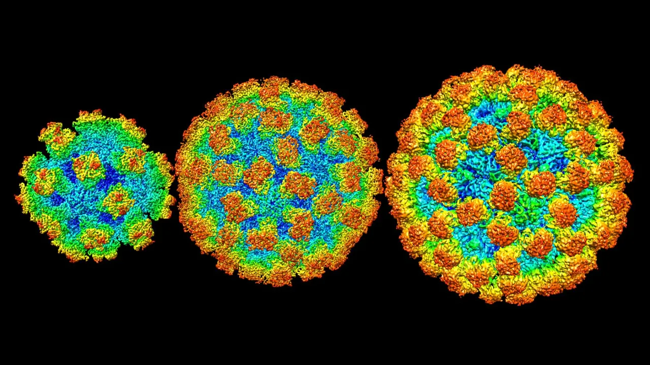 Mide gribi vakaları tavan yaptı: Norovirüs bu kış neden daha tehlikeli? (Norovirüs nedir, belirtileri nelerdir?)