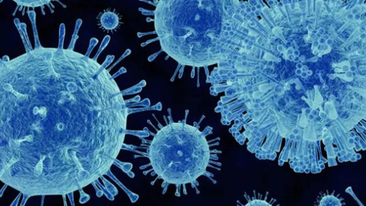 Mide gribi vakaları tavan yaptı: Norovirüs bu kış neden daha tehlikeli? (Norovirüs nedir, belirtileri nelerdir?)