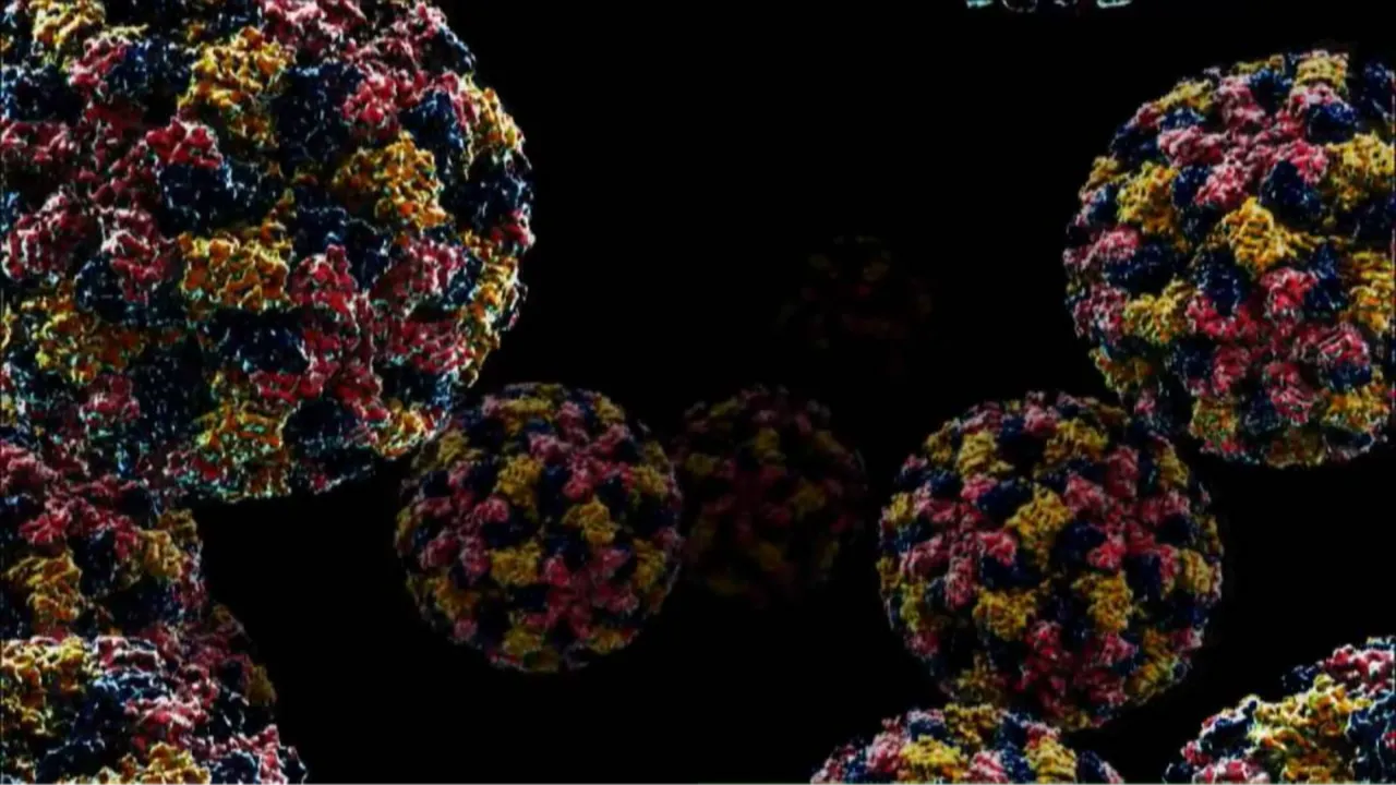 Mide gribi vakaları tavan yaptı: Norovirüs bu kış neden daha tehlikeli? (Norovirüs nedir, belirtileri nelerdir?)