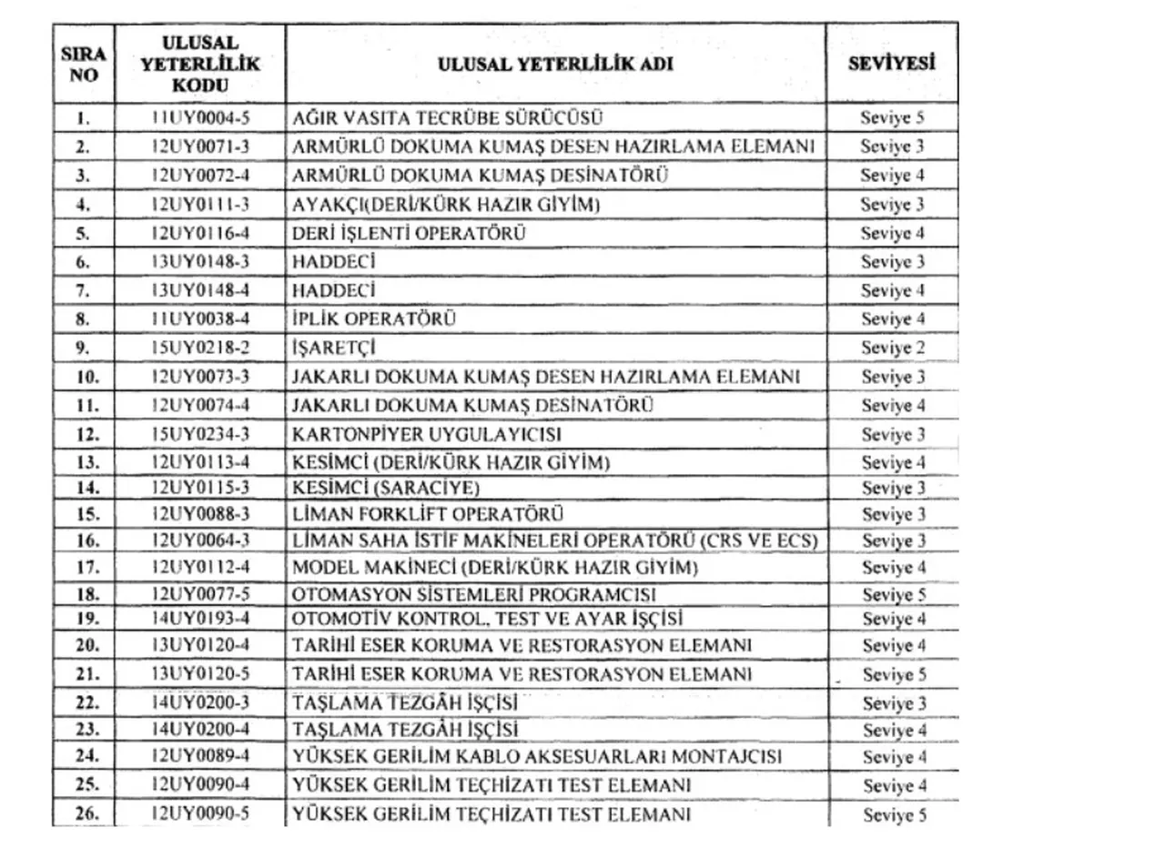 Resmi Gazete’de yayımlandı: 66 meslekte yeni dönem! Belgesi olmayan çalışamayacak