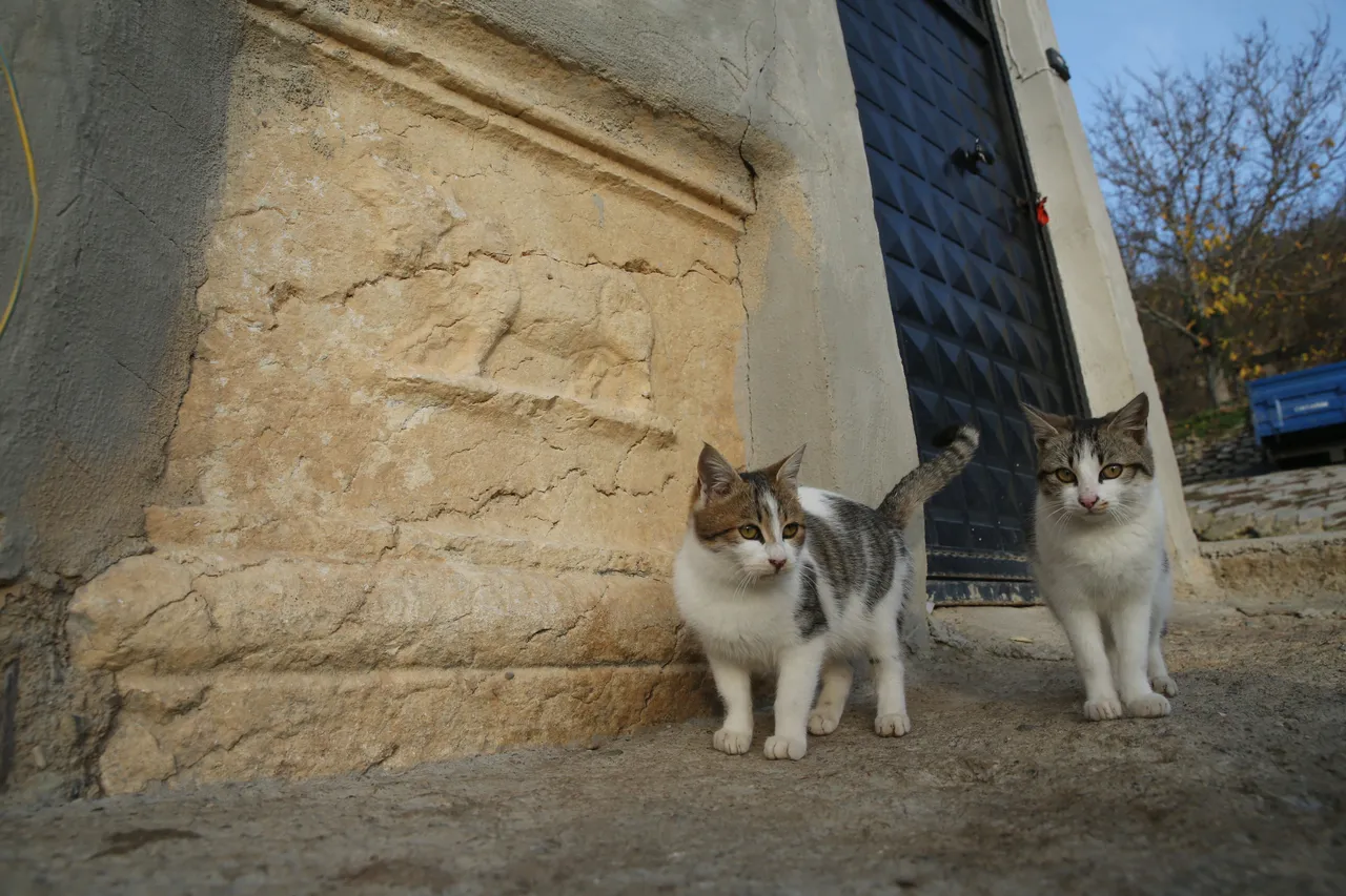 Roma dönemine ait Meyre Zeus tapınağı köy evlerinin temelinde yaşıyor