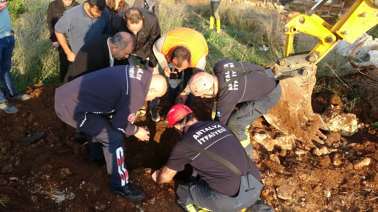 Sahibi çalındı sanıyordu, kayıp koyunlar 10 gün sonra su kuyusunda bulundu