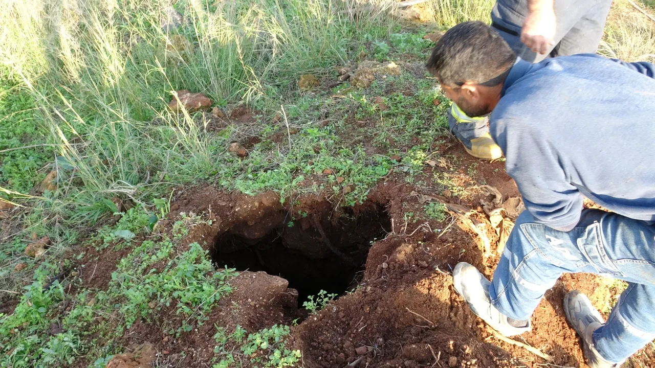 Sahibi çalındı sanıyordu, kayıp koyunlar 10 gün sonra su kuyusunda bulundu