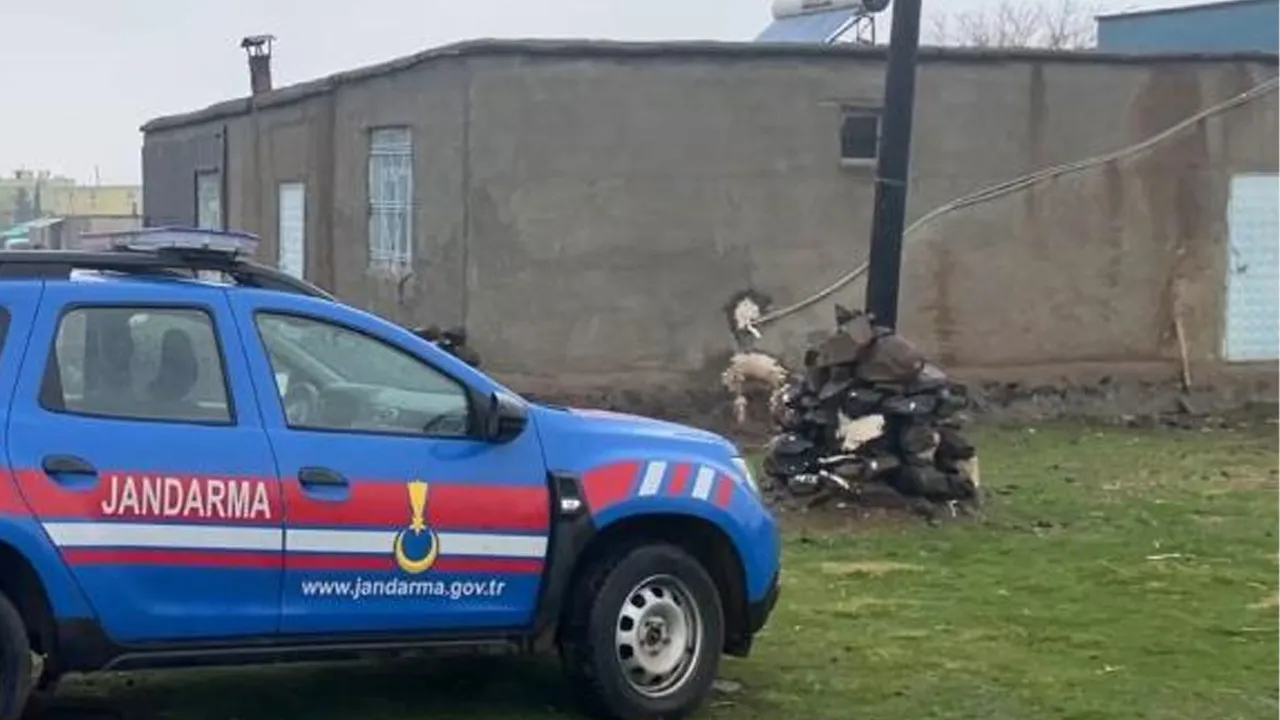 Şanlıurfa’da dehşet evi: Eşine de oğluna da acımadı