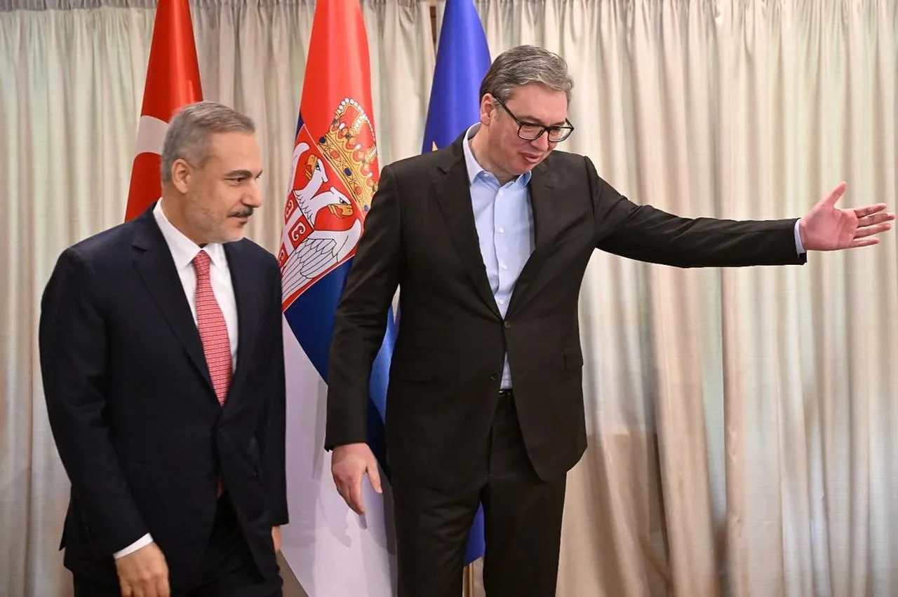 Sırbistan Cumhurbaşkanı Vucicten Türkiye çıkışı: Duvara sıkıştık