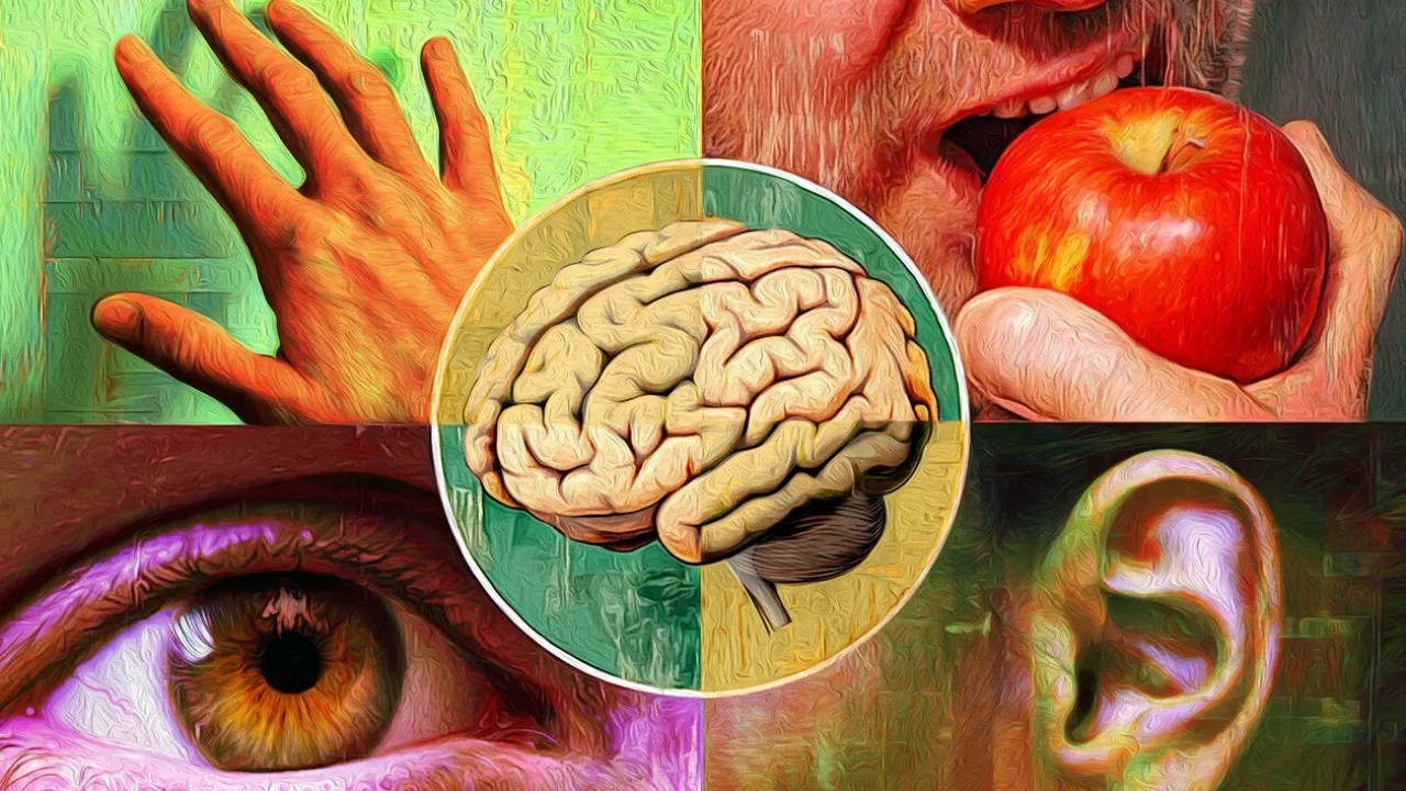 5 duyuyu unutun! Oxford Üniversitesi’ne göre insanların tam 33 duyusu var