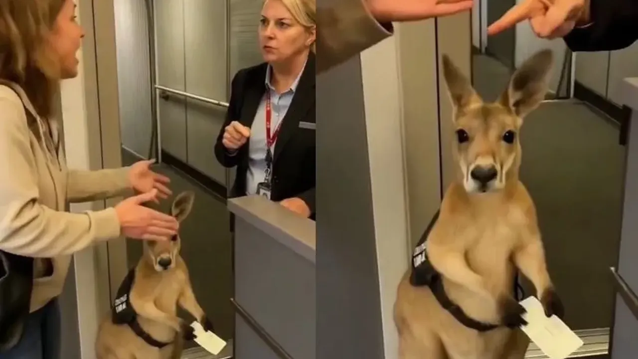 63 milyar izlenme, 117 milyon dolar gelir: Her 5 yeni Youtube videosundan biri  