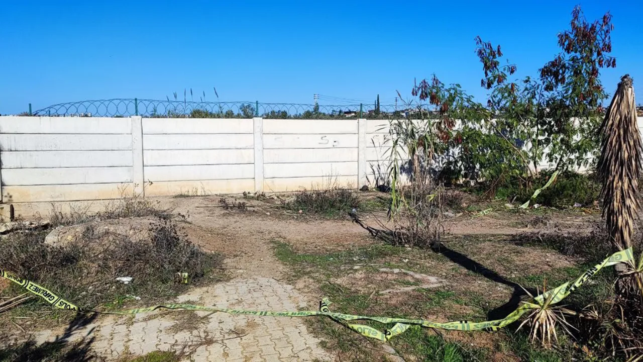 Adana'da portakal toplamaya çıkan kadın yolda ölü bulundu 