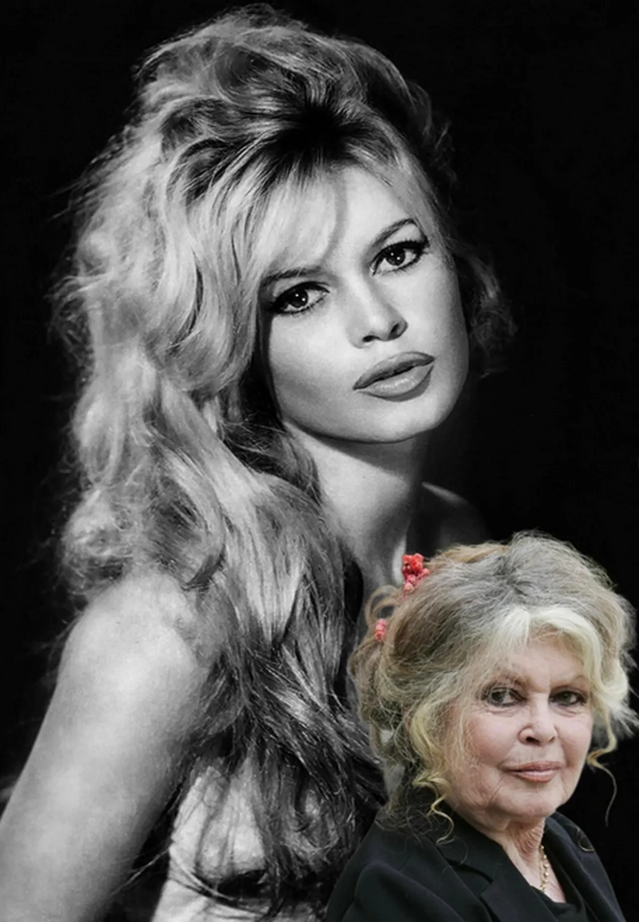 Fransız sinemasının efsanesi Brigitte Bardot 91 yaşında vefat etti