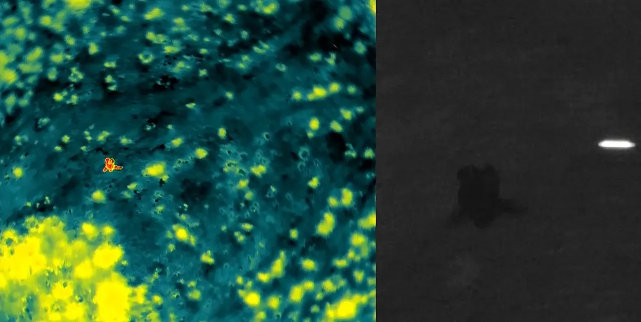 Isı izi ele verdi! Adana’da kayıp zihinsel engelli adam termal kamerayla bulundu