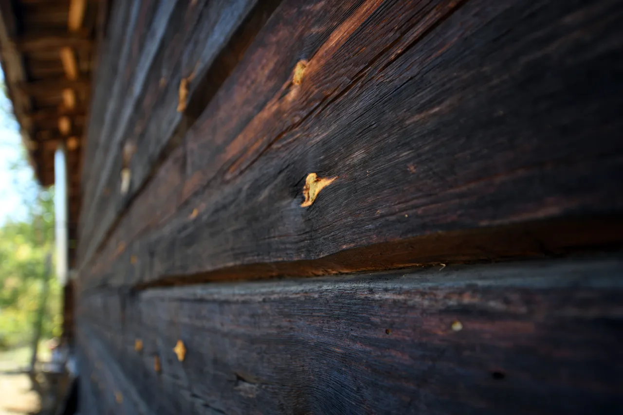 Camiye ait görseller