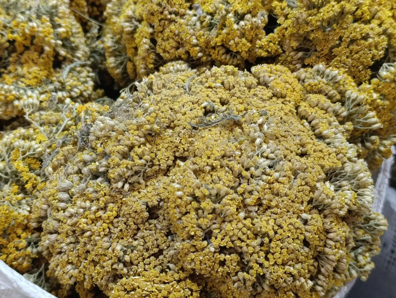 Kışın gözdesi! Günde en az 1 bardak içiyorlar, aktarda hemen tükeniyor