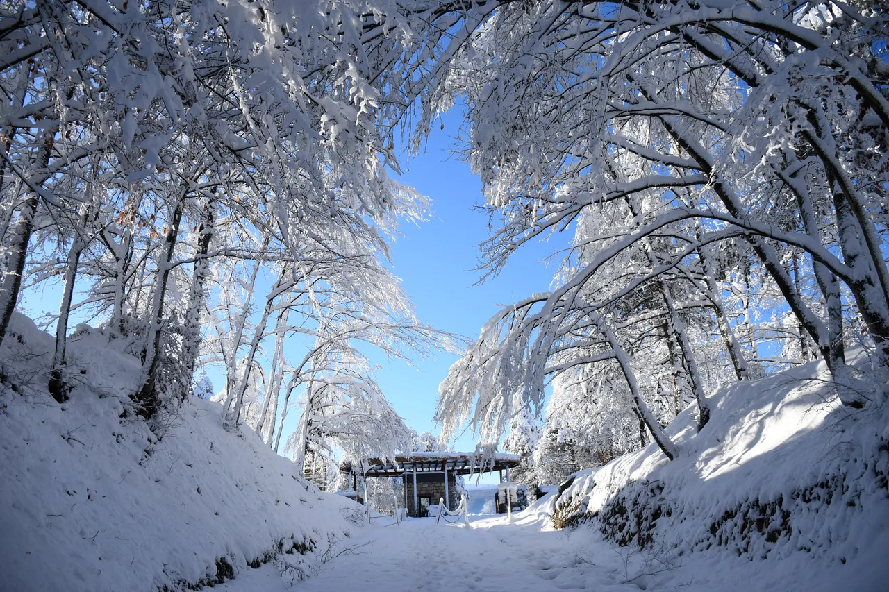 Korugöl beyaza büründü: doğa kartpostallık manzaralar sundu