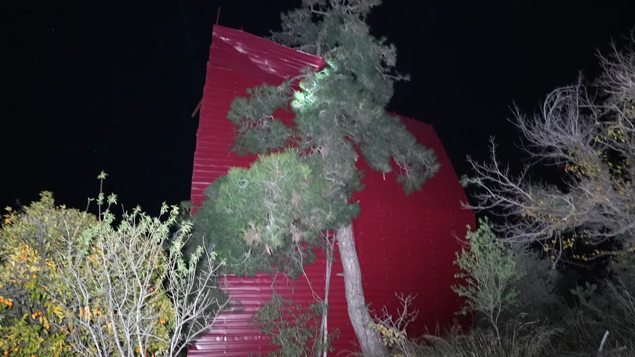 Mersin’i fırtına vurdu! Çatı uçtu, ağaç devrildi, elektrik telleri koptu