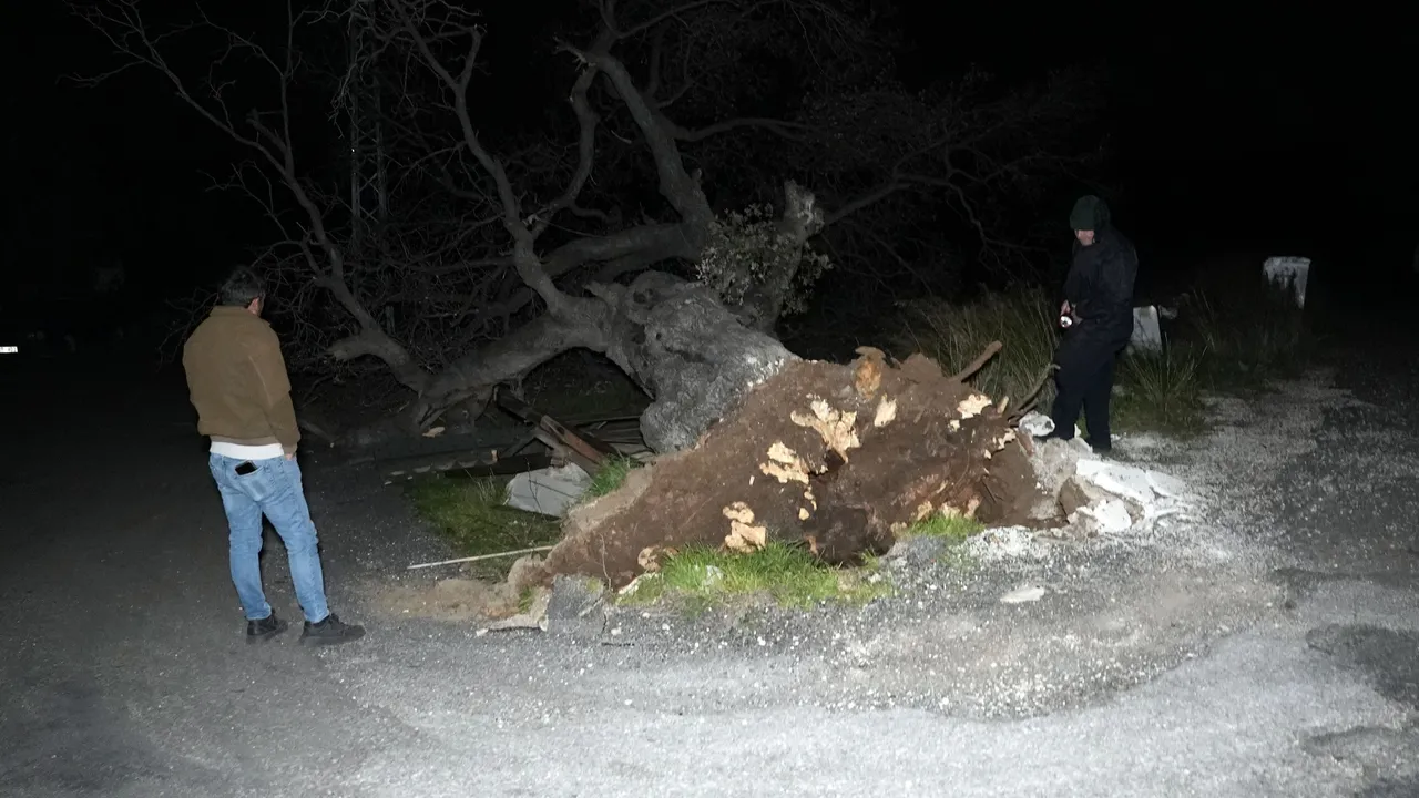 Mersin’i fırtına vurdu! Çatı uçtu, ağaç devrildi, elektrik telleri koptu