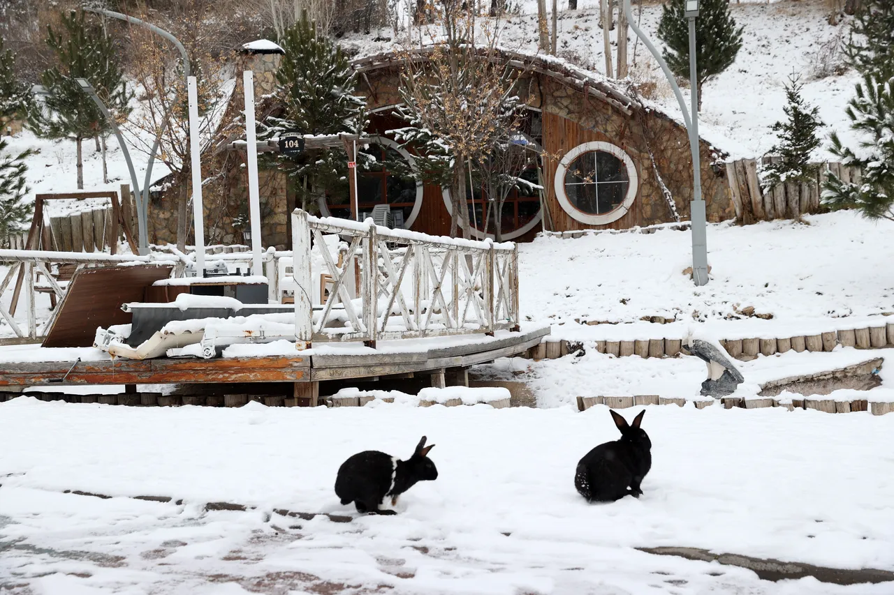Sivas’ta kar manzaralı  Hobbit Evleri  kartpostallık görüntüler oluşturdu