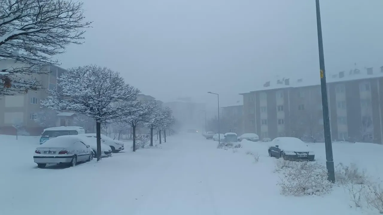 Van'da etkili olan tipi uçak seferlerini de etkiledi