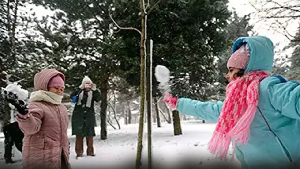 Diyarbakır'da okullar tatil mi? 29 Aralık Diyarbakır Valiliği kar tatili açıklaması