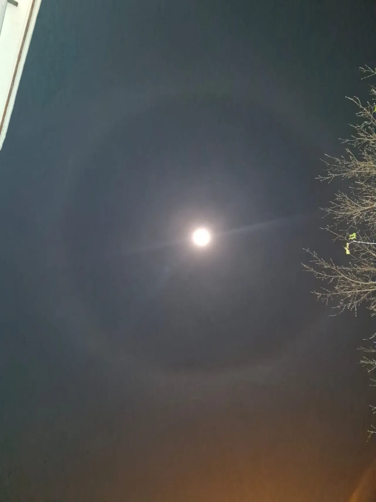 Görenler cep telefonu ile o anları kaydetti