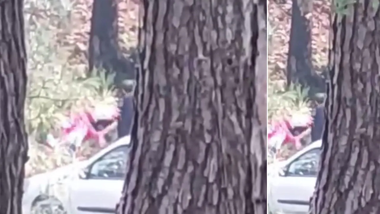 Buca'da ormanlık alanda dehşet! 'İmdat' çığlığını duyan vatandaş fark etti