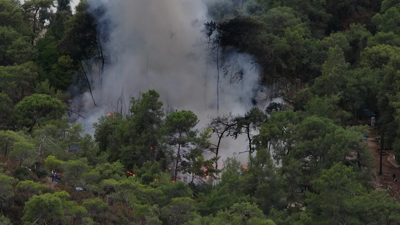 Fethiye'de karavan faciası! Onlarca kişinin tatil hayali küle döndü