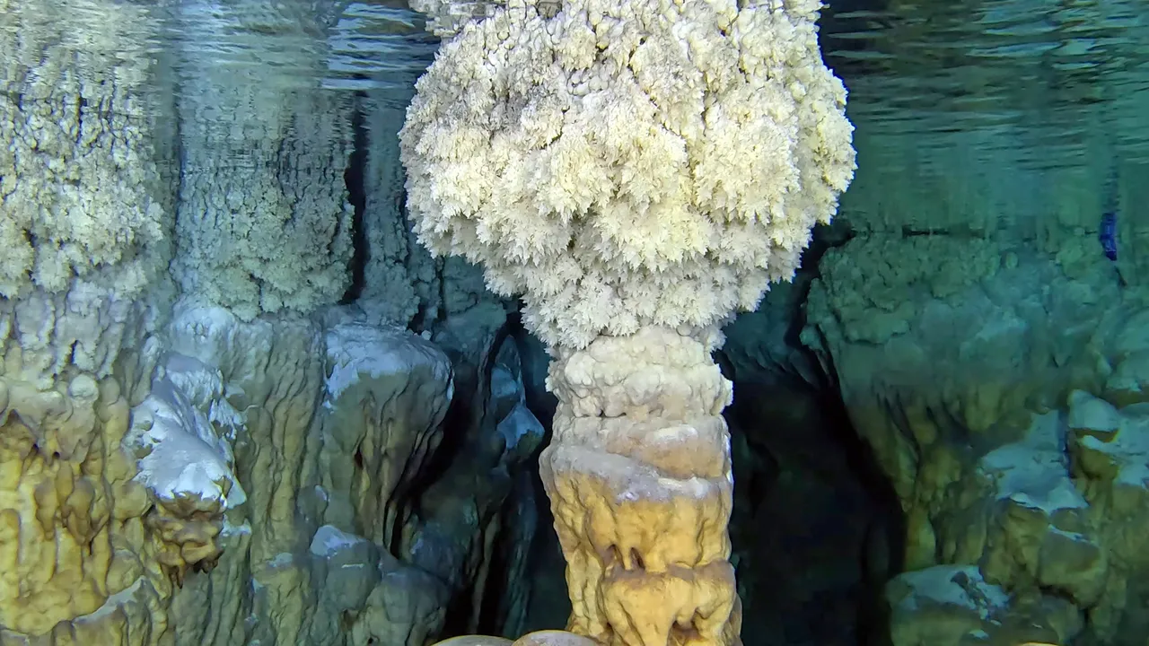 Kirpiyi takip eden çoban tesadüfen keşfetmişti! 