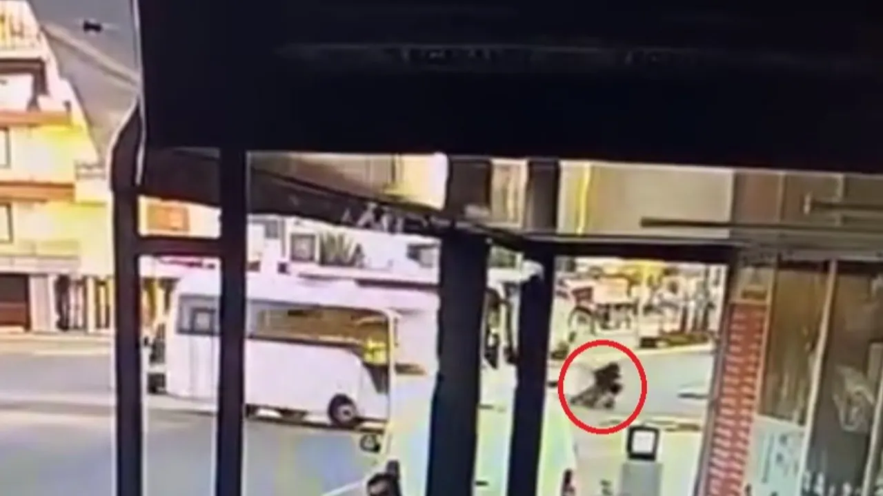 Melike Oğuz'un mezarındaki çiçekleri çalan hırsızların görüntüsü