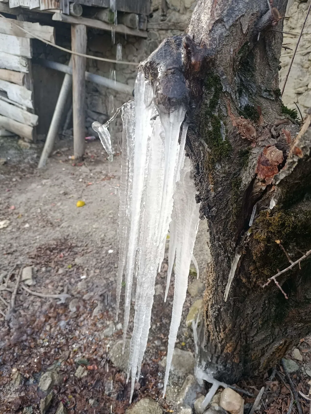 Adanada sıra dışı manzara! Dev buz sarkıtlarının boyu metreleri aştı