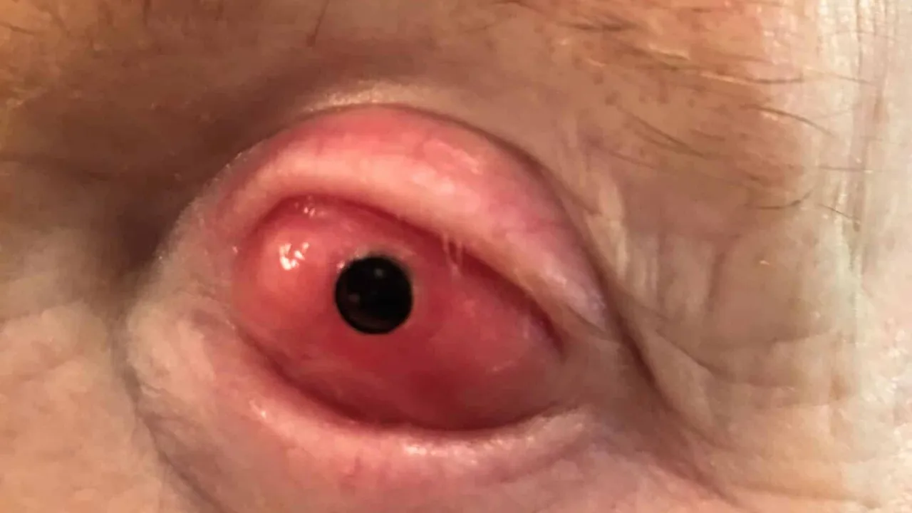 Balık adamı bıçakladı, dişten göz oldu! Dünyanın en sıra dışı vakaları açıklandı