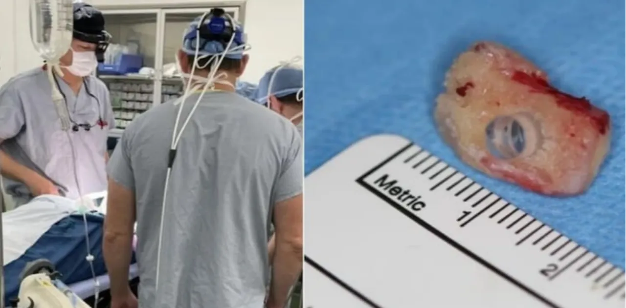 Balık adamı bıçakladı, dişten göz oldu! Dünyanın en sıra dışı vakaları açıklandı