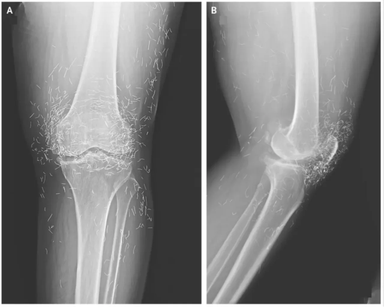 Balık adamı bıçakladı, dişten göz oldu! Dünyanın en sıra dışı vakaları açıklandı