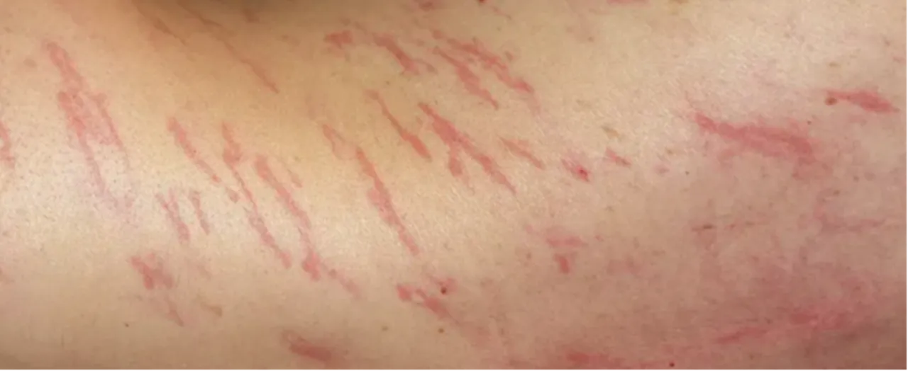 Balık adamı bıçakladı, dişten göz oldu! Dünyanın en sıra dışı vakaları açıklandı