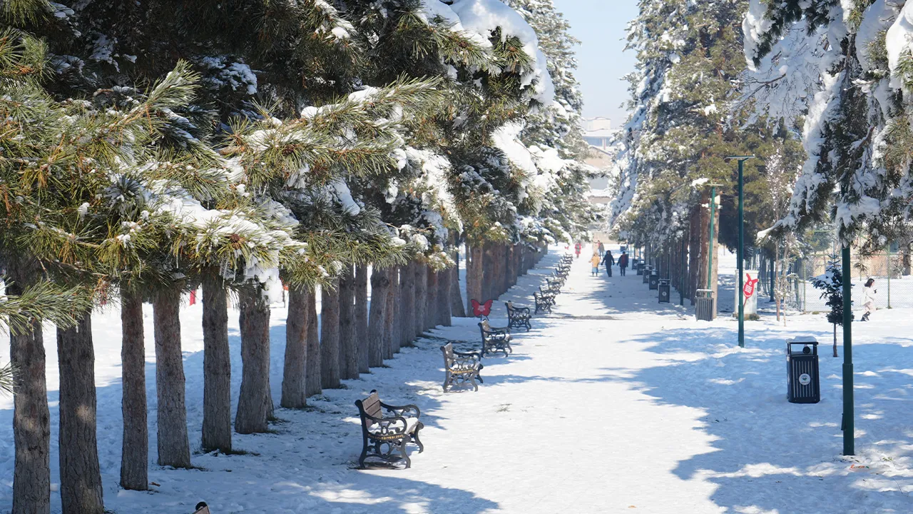 Eksi 28 derecelik kentte her yer buz kesti! Muş'ta metrelerce buz sarkıtları oluştu
