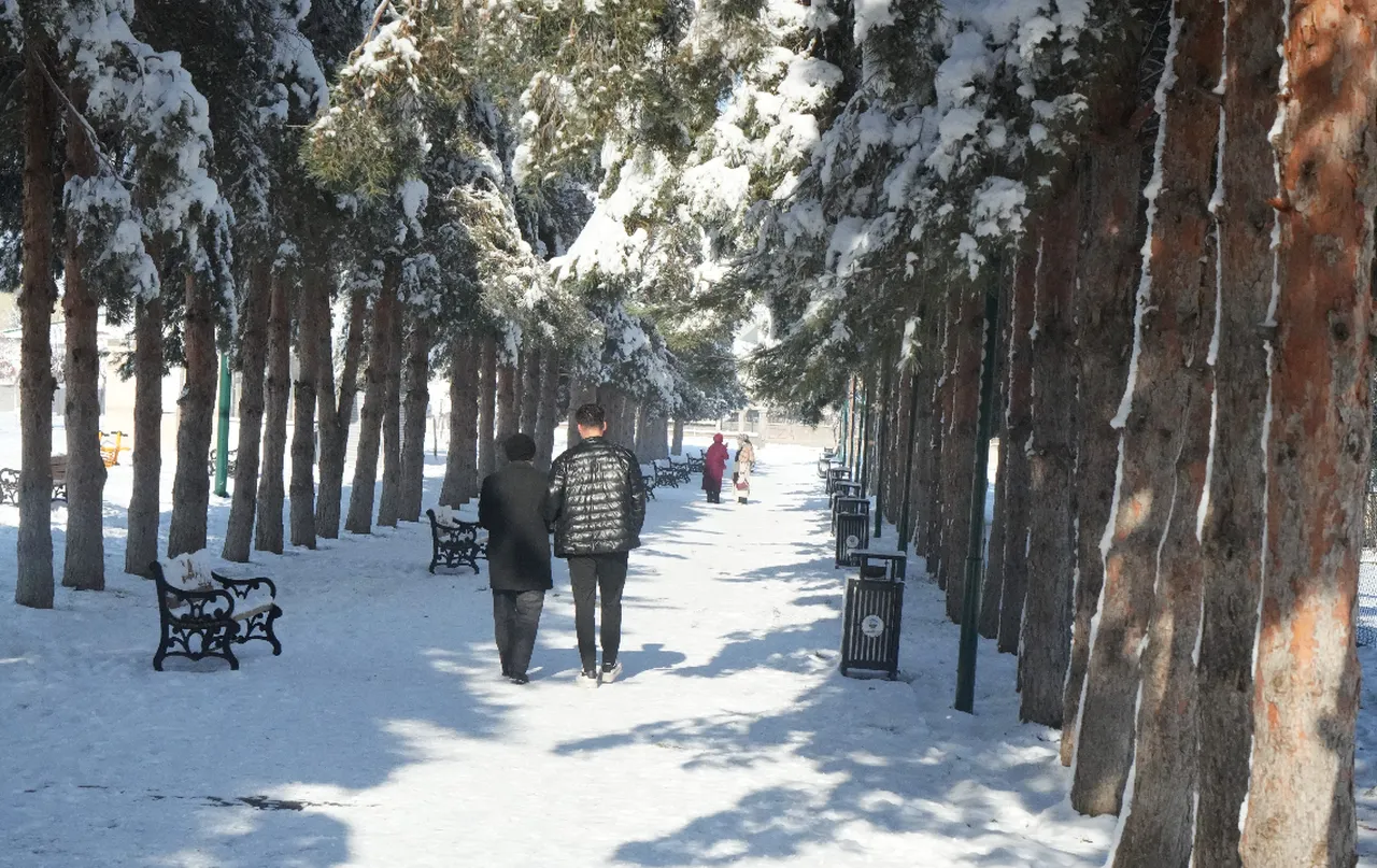 Eksi 28 derecelik kentte her yer buz kesti! Muşta metrelerce buz sarkıtları oluştu