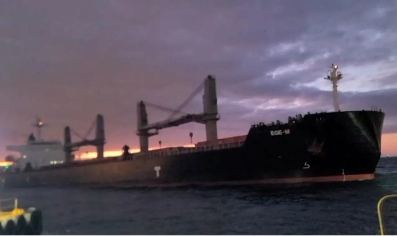 İstanbul’da korku dolu anlar! Kuru yük gemisi iskeleye çarpmasına saniyeler kala durdu