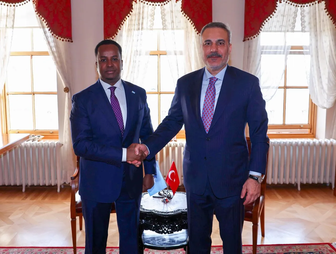 İstanbul’da kritik temas! Cumhurbaşkanı, Somali Cumhurbaşkanı Hasan Şeyh Mahmud ile buluştu