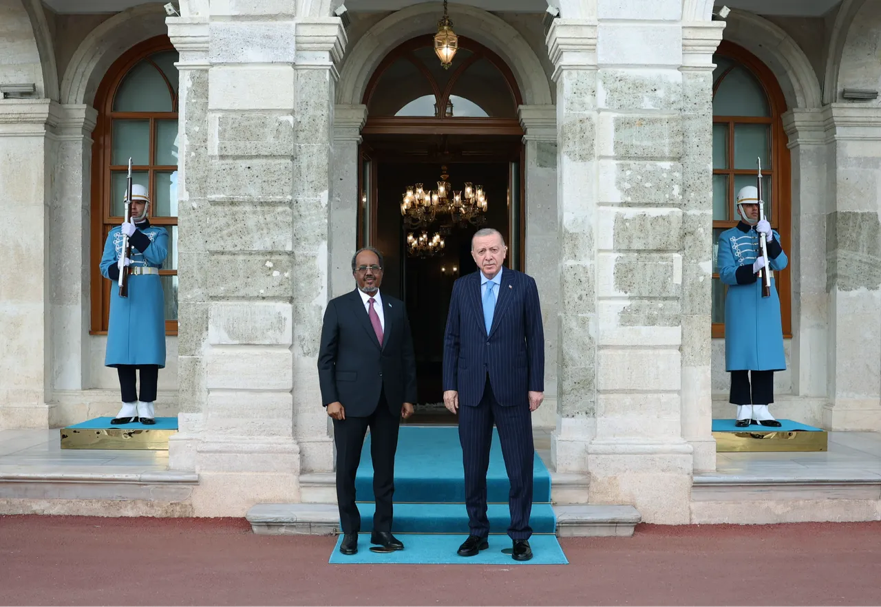 İstanbul’da kritik temas! Cumhurbaşkanı, Somali Cumhurbaşkanı Hasan Şeyh Mahmud ile görüştü