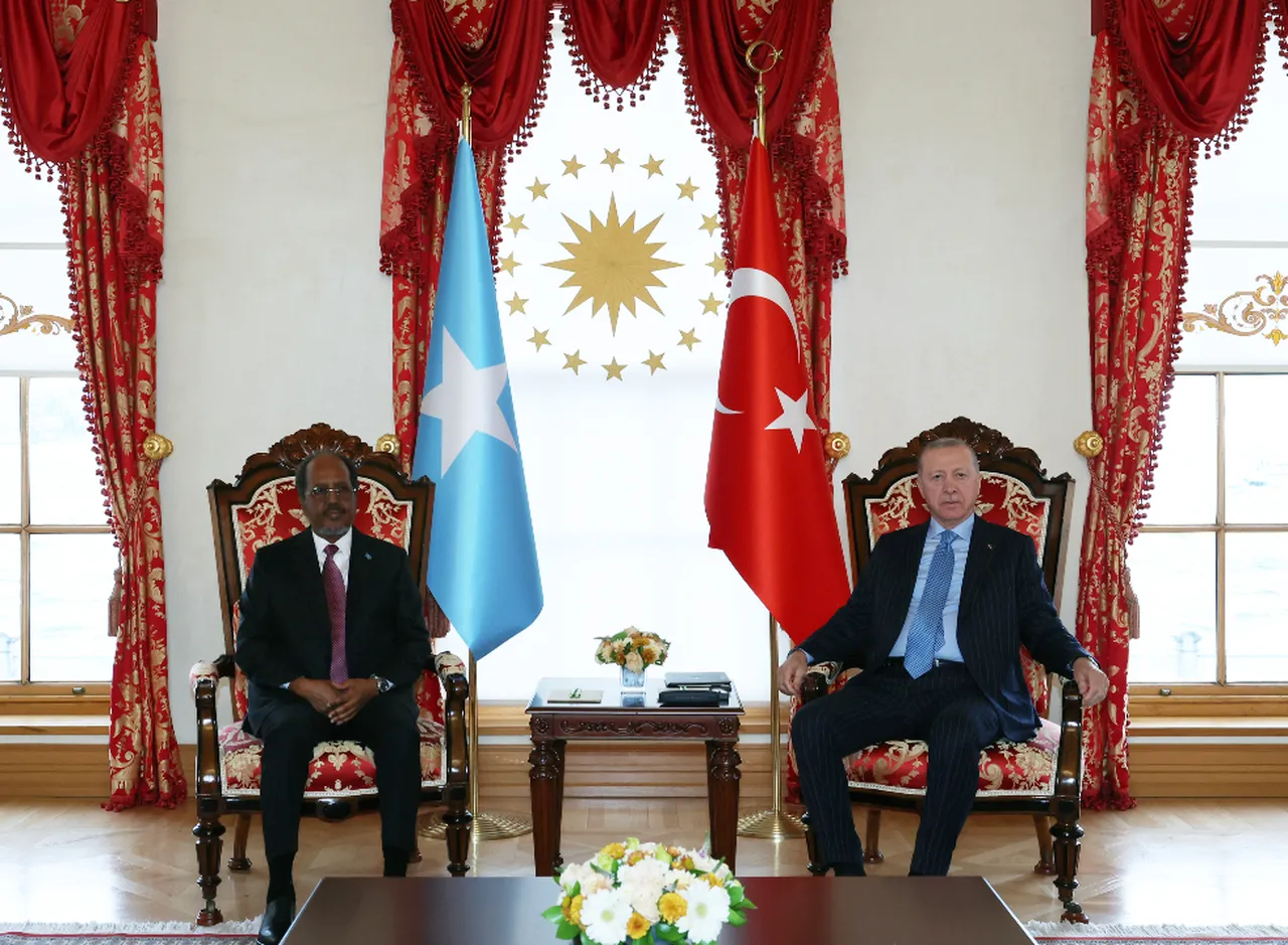 İstanbul’da kritik temas! Cumhurbaşkanı, Somali Cumhurbaşkanı Hasan Şeyh Mahmud ile görüştü