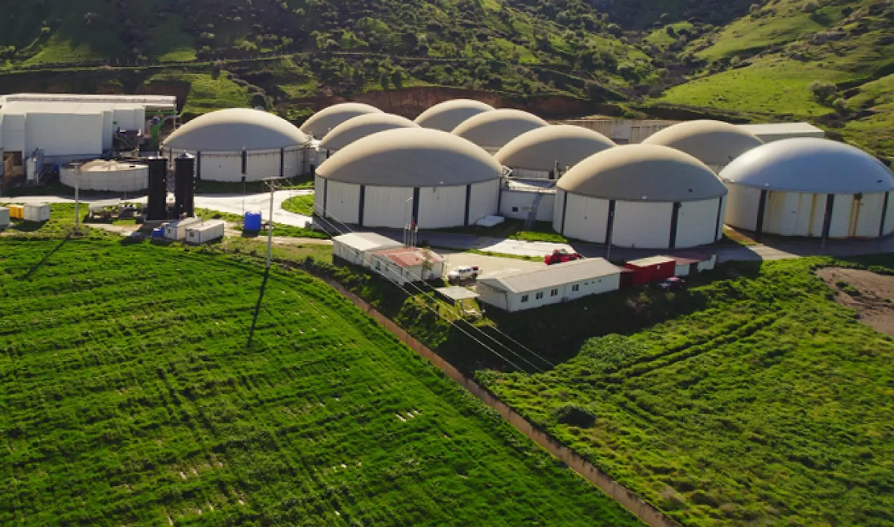 Tarih belli oldu! ARF Bio halka arz ne zaman işlem görecek, ARFYE kaç lot verdi?