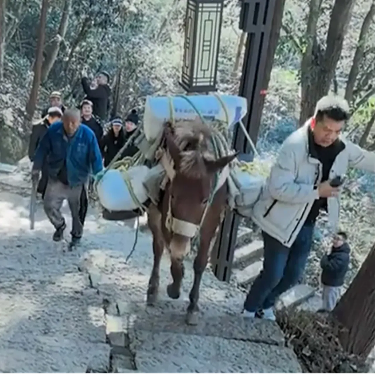 Telefonla oynarken canından olacaktı: Arkasından geleni görmedi, metrelerce yuvarlandı