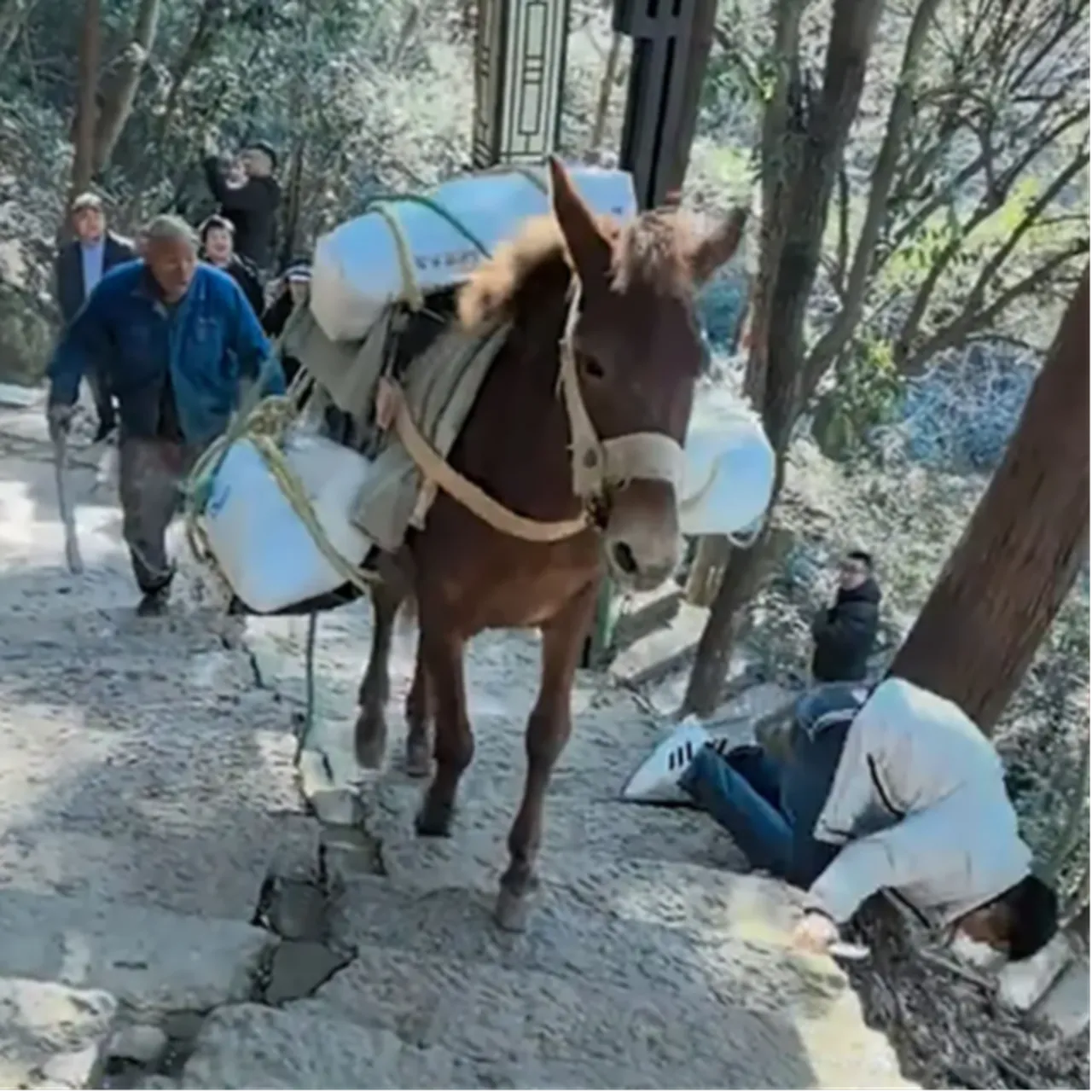 Telefonla oynarken canından olacaktı: Arkasından geleni görmedi, metrelerce yuvarlandı