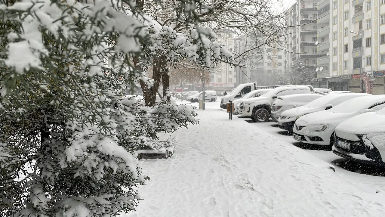 Yarın Diyarbakırda okullar tatil mi, kar var mı? 31 Aralık Çarşamba Diyarbakır Valiliği açıkladı