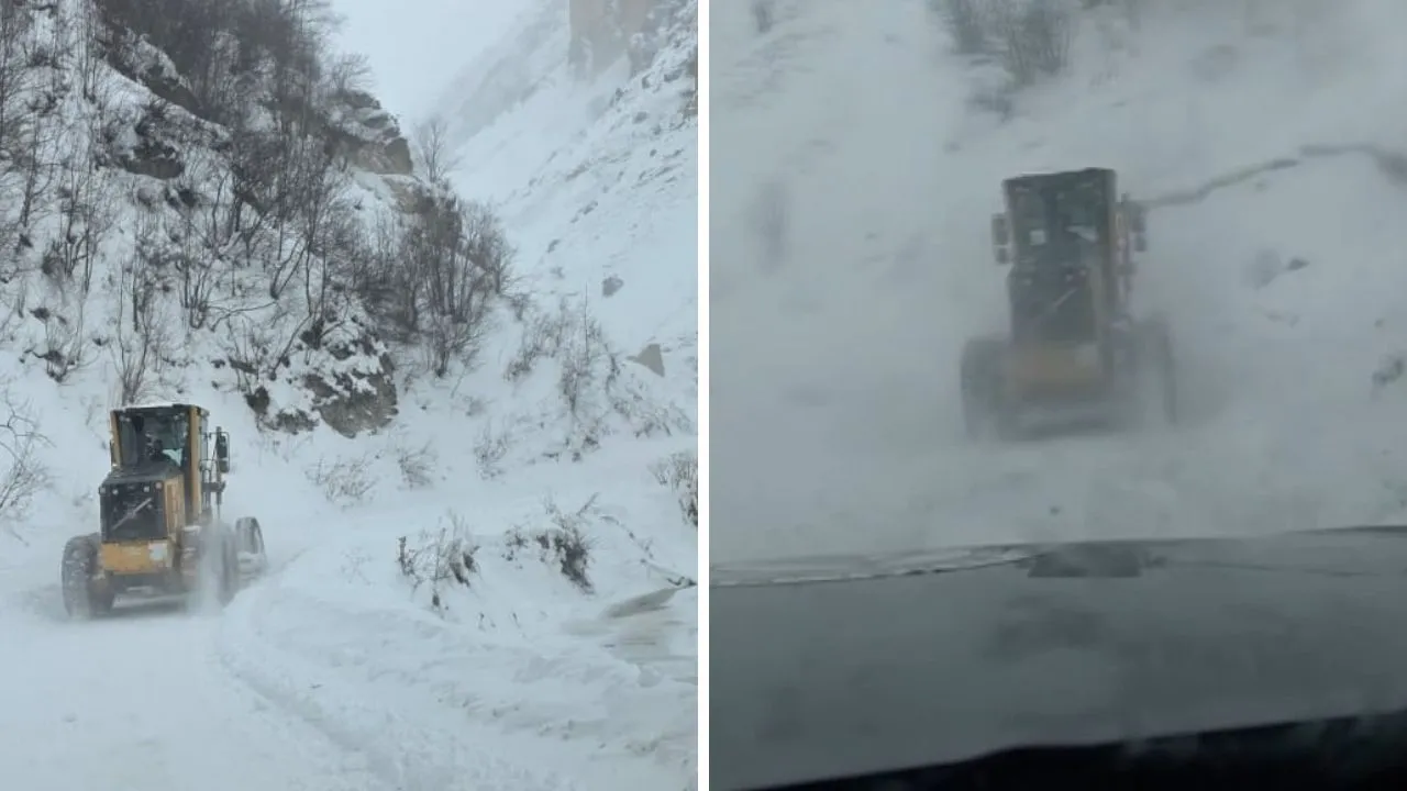 Artvin'de çığ düştü, 3 çoban mahsur kaldı!