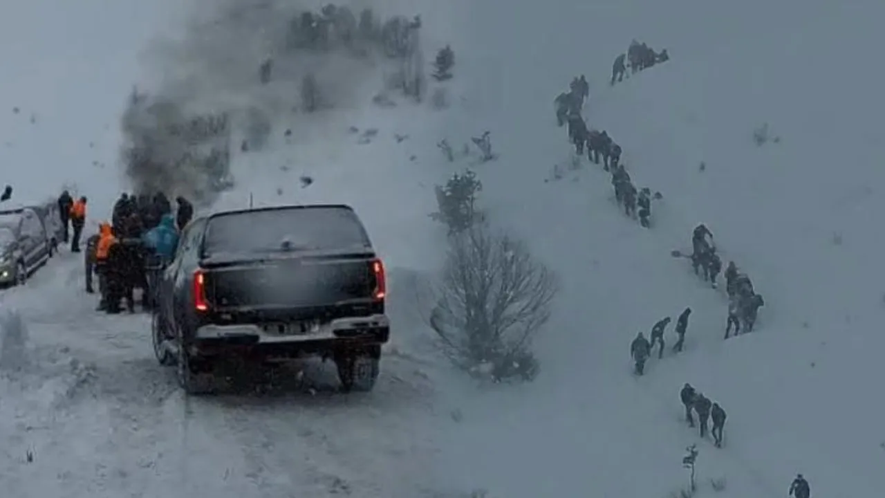 Artvin'de çığ düştü, 3 çoban mahsur kaldı!