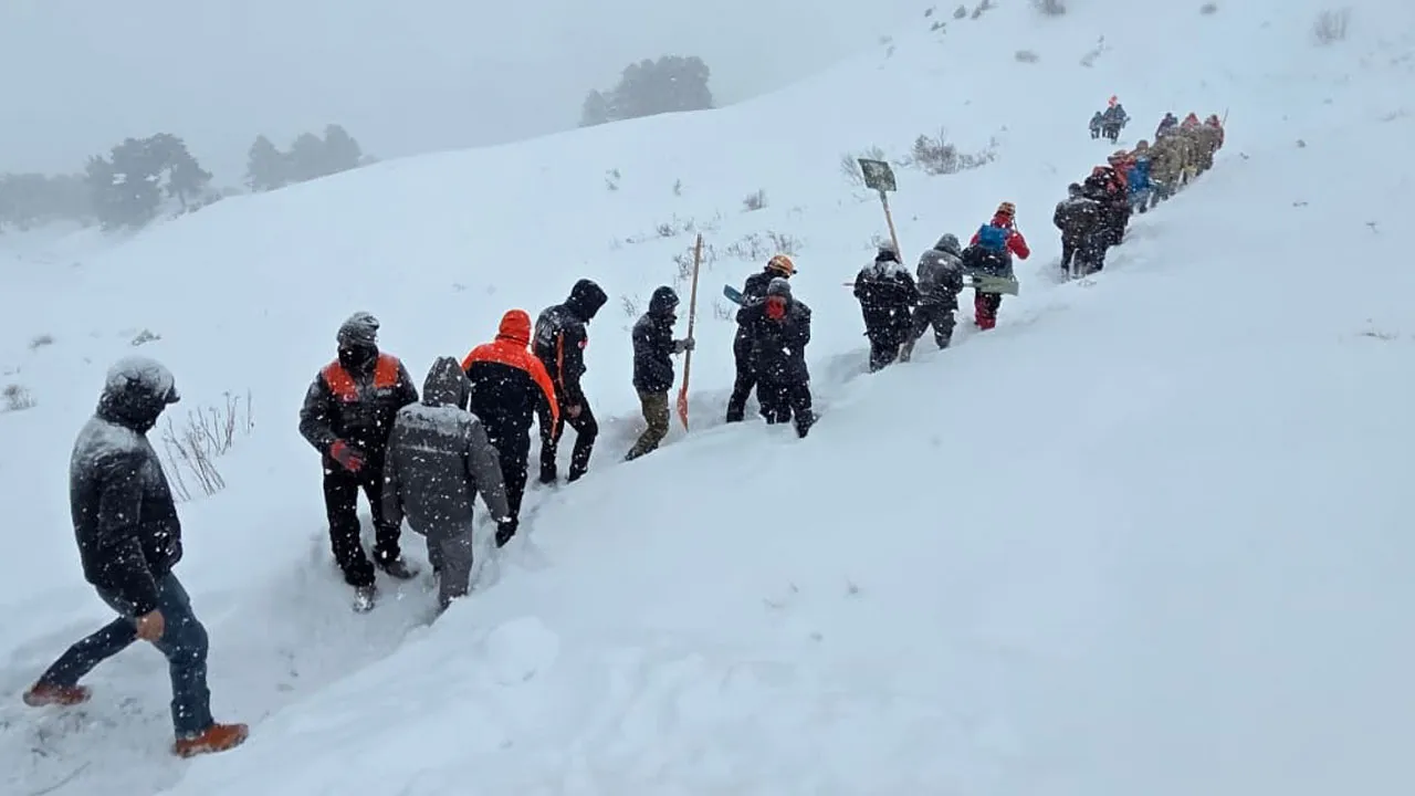 Artvin'de çığ düştü, 3 çoban mahsur kaldı!